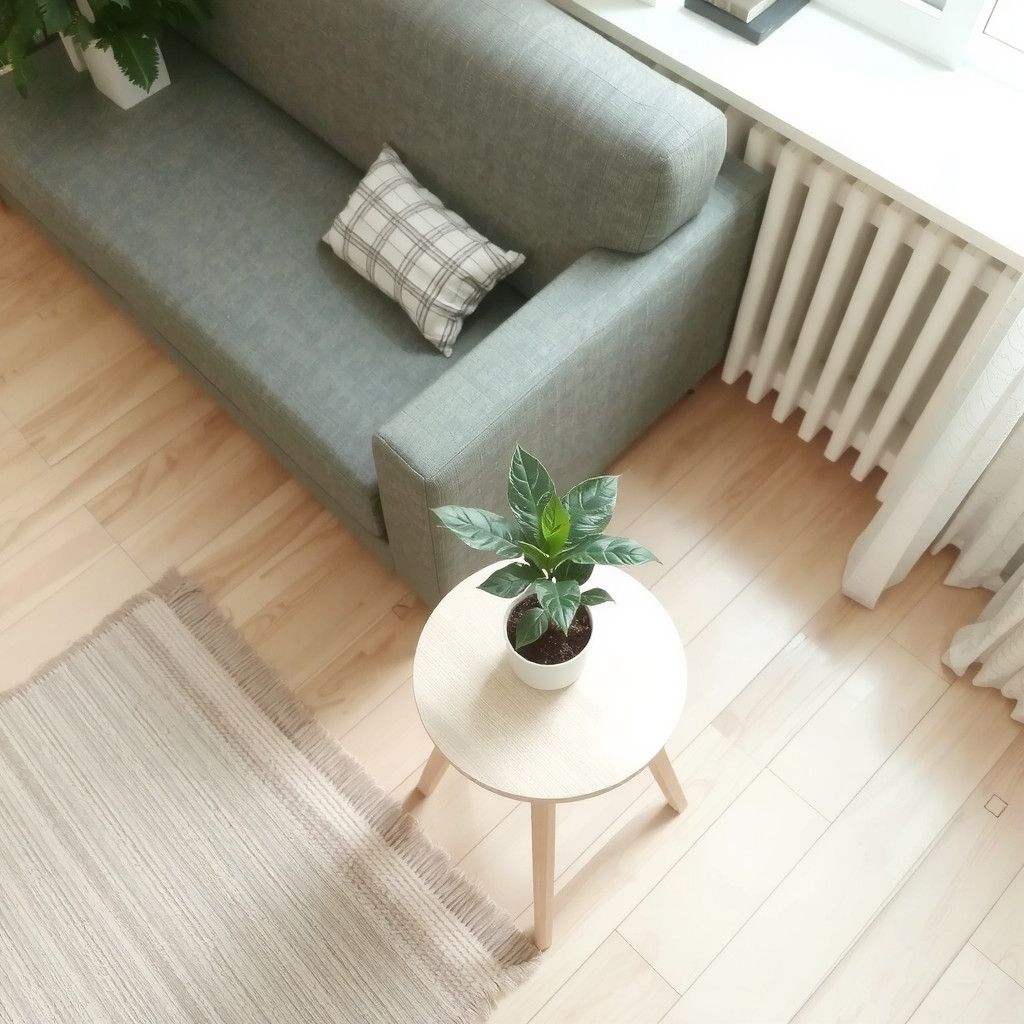 Small plants in a living room
